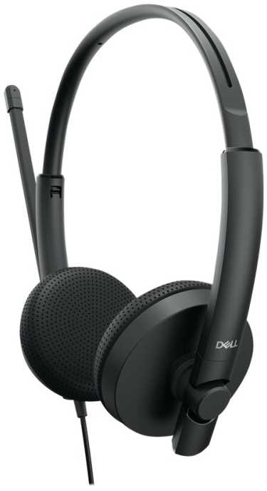 Ausinės Dell WH1022