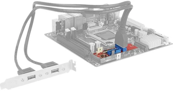 Kontroler Delock (62843)