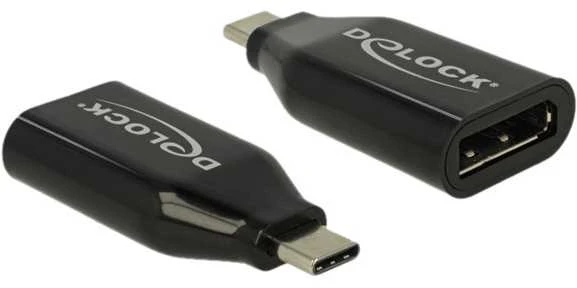 Du juodi USB-C į DisplayPort adapterių vnt.