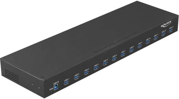 HUB USB 3.1 DELOCK 13-PORT AKTYWNY pramoninis 19" JUODA