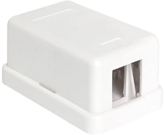 Delock KEYSTONE FX-MULTI JUNGČIŲ TST KORUSAS