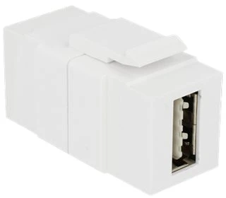 Adapteris USB Delock Baltas (86353)
