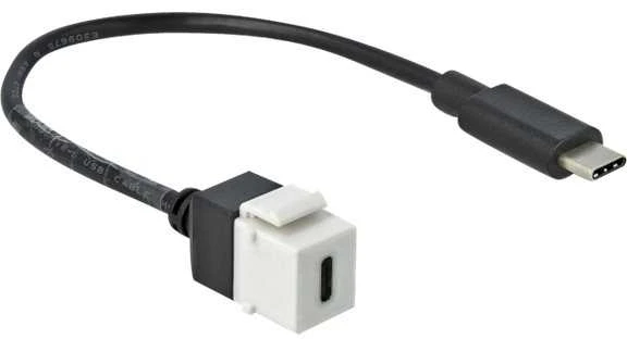KEYSTONE MODULIS, USB-C(F) 3.0->USB-C(M) LIZDAS ANT 25CM KABELIO JUODA-Baltas DELOCK