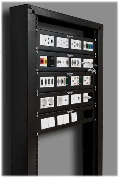 DeLock Patchpanel 19 2HE mit4x 90,5x45,2mm Ausschnitt Juodas