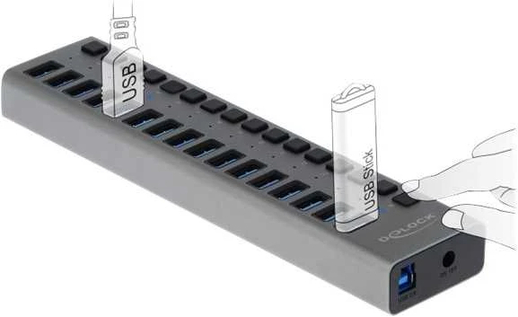 Delock External SuperSpeed USB Hub su 16 prievadų + jungikliu