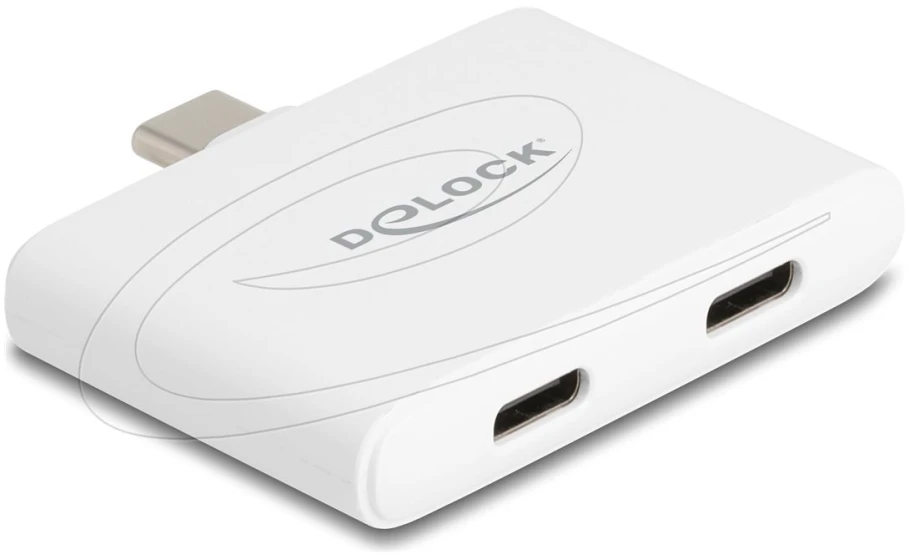 Adapteris USB Delock USB-C - USB-C x2 Baltas (61088)
