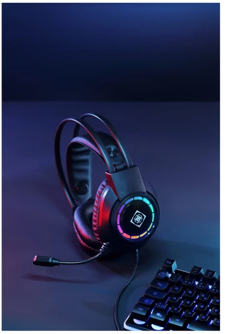 DH220 USB stereo žaidimų ausinės DELTACO GAMING, RGB, juodos / GAM-168 / 4222325