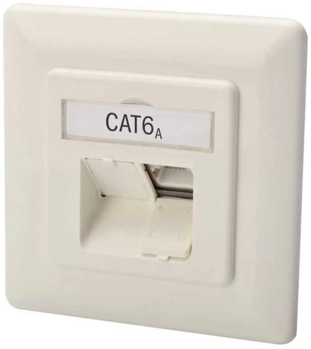 Įleidžiamas tinklo lizdas CAT 6A Digitus Baltas