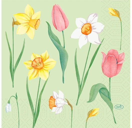 Duni Spring Melody servetėlės 33x33 cm 3 sluoksnių Floret, 50 vnt./pak