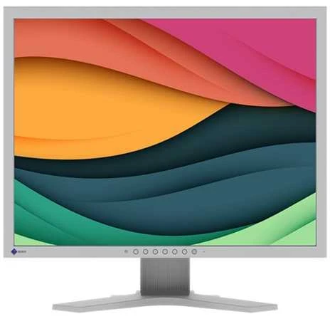 Monitorius EIZO FlexScan S2134-GY 21.3" TFT LCD 1600 x 1200 UXGA Pilkas