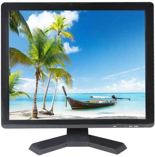 Monitorius Ernitec 0070-24117-P-5:4