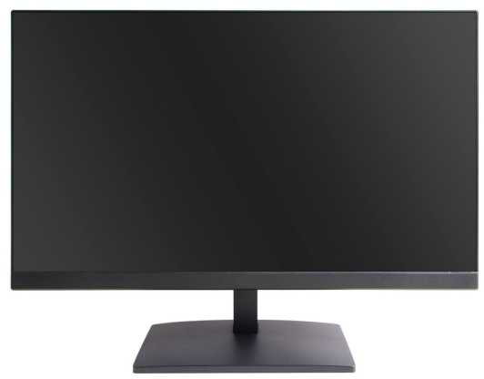Monitorius Ernitec 22'' (0070-24122-F)