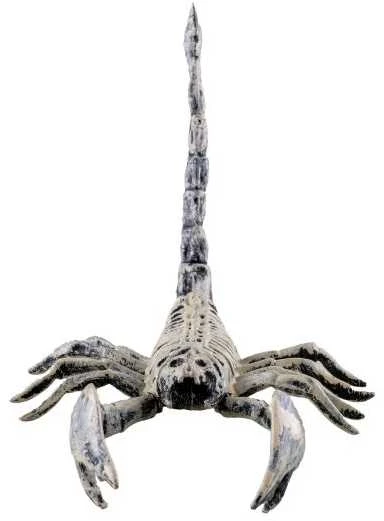 ESPA Skorpiono skeletas, 25 cm