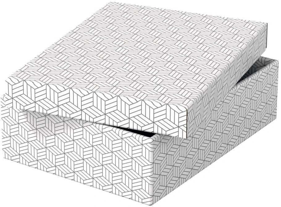 Daiktadėžė ESSELTE, su dangteliu, 265x100x360 balta-pilka (3vnt./pak.)