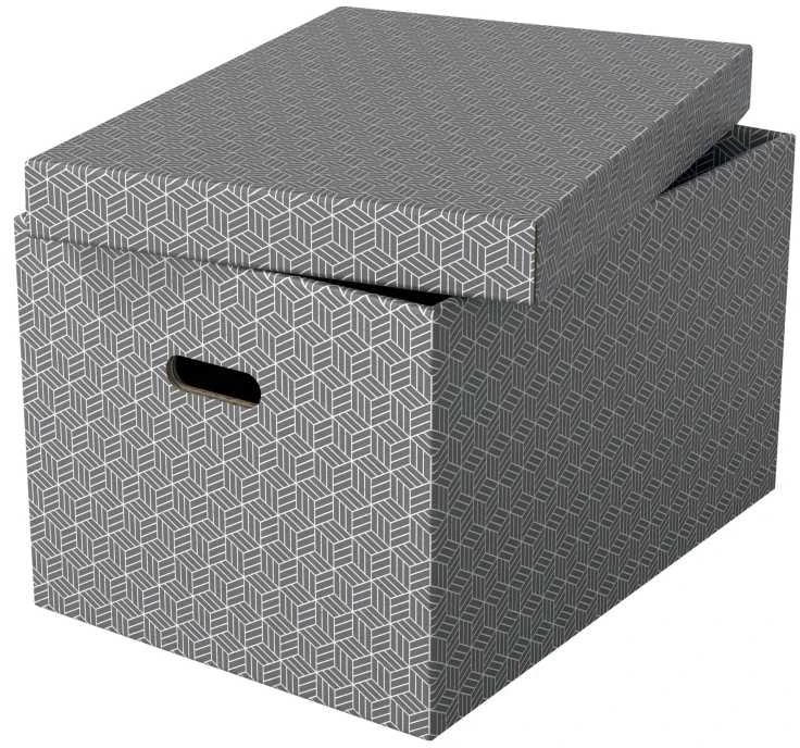 Pilka Esselte dėžė su geometriniu raštu