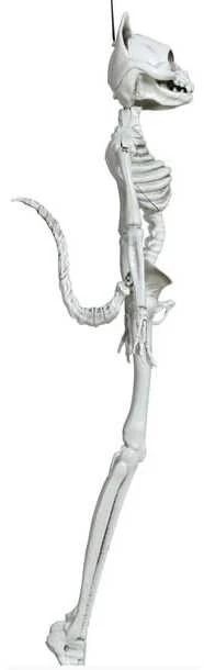 Fiesta Kabantis katės skeletas, 37 cm
