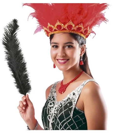 Fiesta Juodos stručio plunksnos 60 cm, 12 vnt.