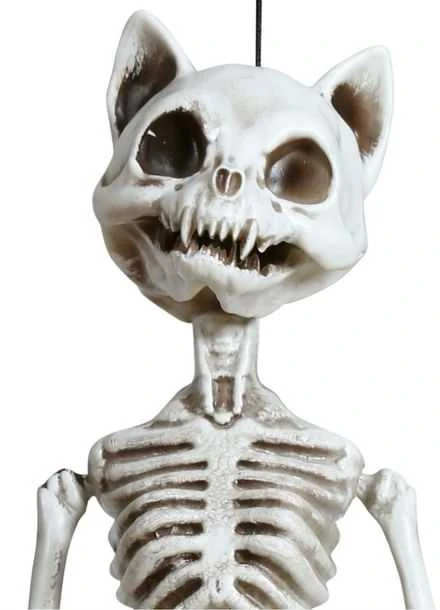 Fiesta Kabantis katės skeletas, 37 cm
