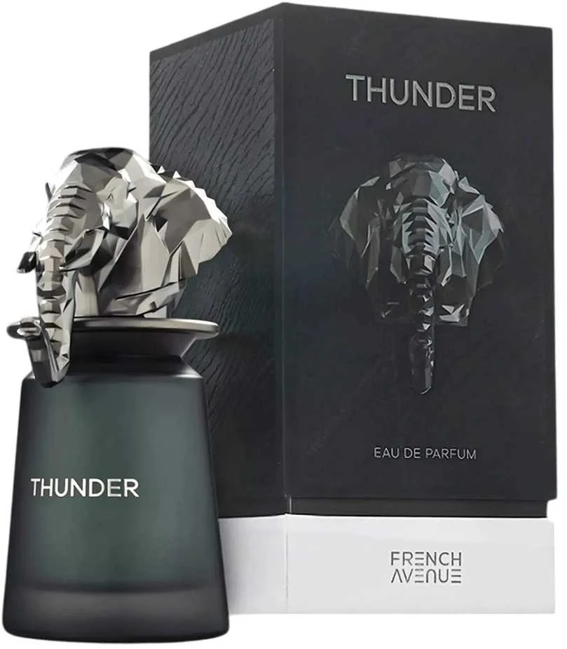 French Avenue Thunder EDP parfumuotas vanduo unisex, 100 ml