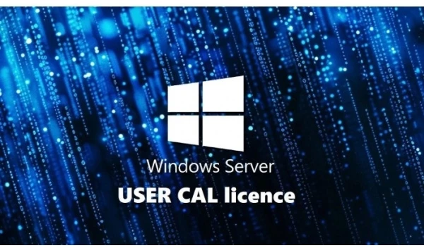 Fujitsu WINSVR CAL 2025 5 USER - CONFIG ONLY