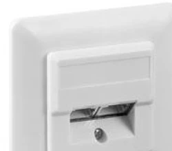 Goobay Įleidžiamoji dėžutė CAT 5e (UP) - Balta spalva