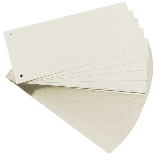 Herlitz Binder skirstytuvai 1/3 A4 100vnt HERLITZ