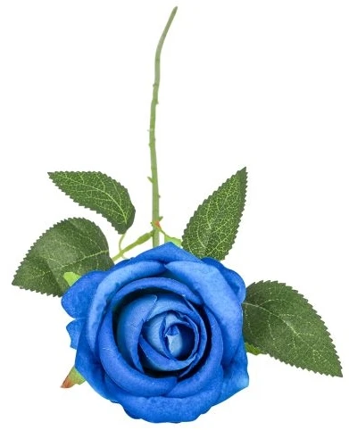 Hisabjoker Ab Mėlyna rose, 50 cm
