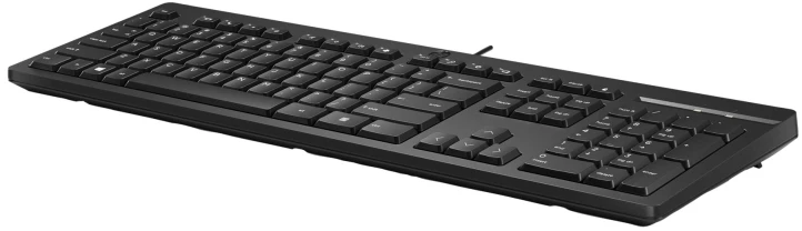 HP 125 laidinė klaviatūra, viso dydžio (100 %), laidinė, USB, juoda