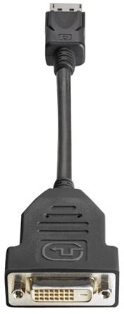 Hewlett Packard (HP) adapteris AV HP DisplayPort – DVI-D juodas (FH973AT)