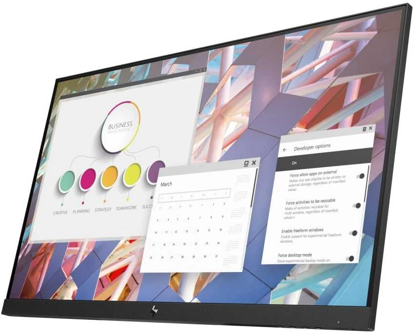 Hewlett Packard (HP) HP E24 G4 monitorius (9VF99A9)