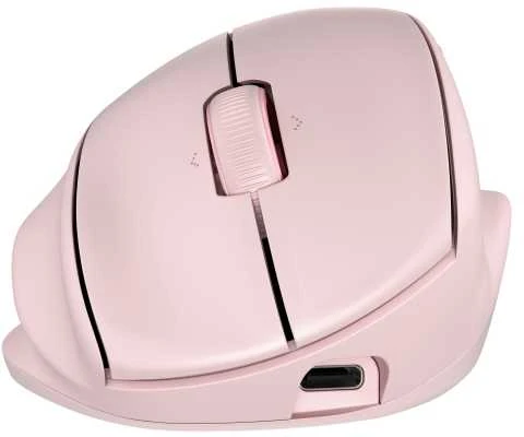 Hewlett Packard (HP) HP Tilt Ergo PNK MSE 720M EMEA-INTL EN L pelė dešinei rankai RF belaidė + Bluetooth 6000 DPI