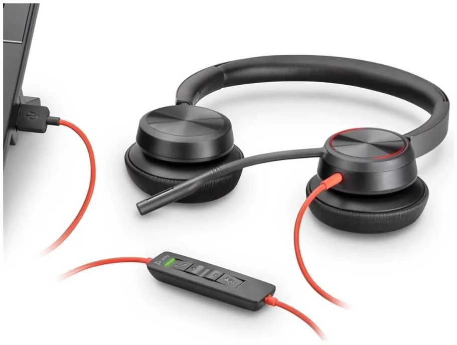 Poly ausinės su USB jungtimi ir laidiniu valdymu