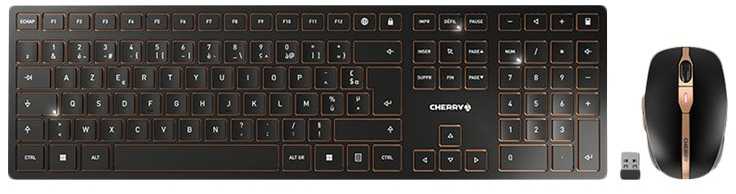 Klaviatūra CHERRY DW 9100 SLIM rinkinys su pele, Bluetooth + radijas, FR išdėstymas, juoda / bronzinė