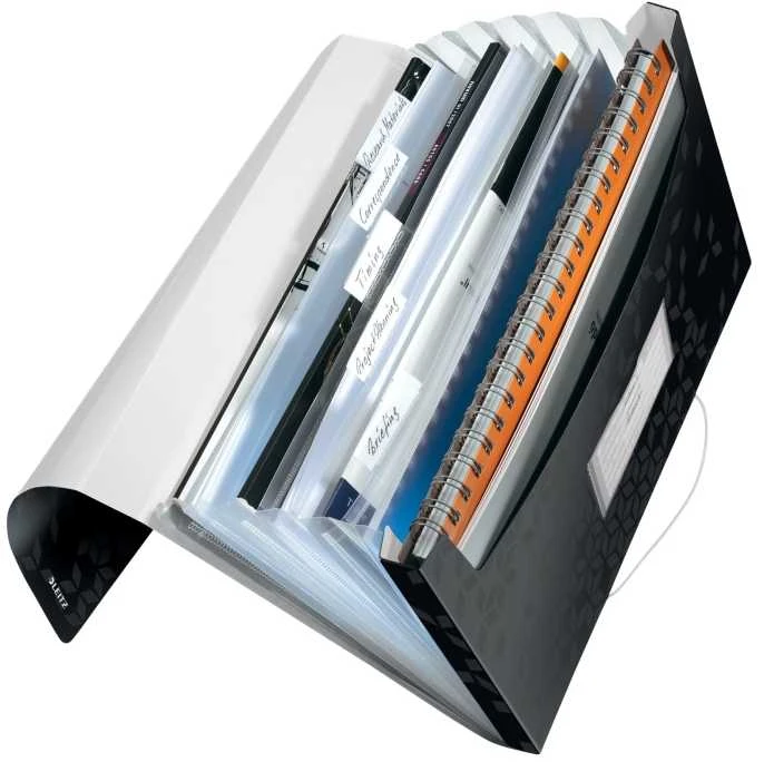 Leitz TECZKA HARMONIJKOWA 6 PRZEGRÓDEK LEITZ WOW Juoda