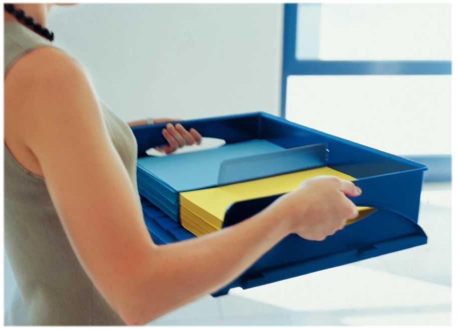 Esselte Leitz Jumbo Sorty Tray - PC