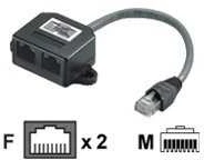 RJ45 tinklo adapterio skirstytuvas su dviem lizdais
