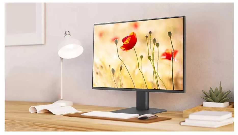 Monitorius BENQ GW2491 24" FHD IPS 100HZ HDMI/DP