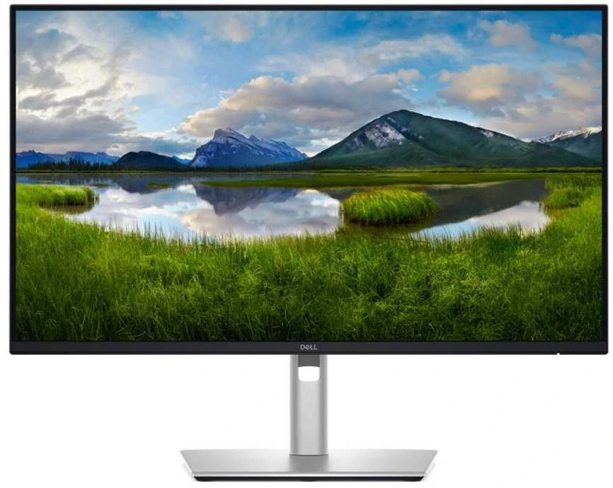 Dell Pro 24 Plus Monitorius - P2425D, 60.5cm (23.8")