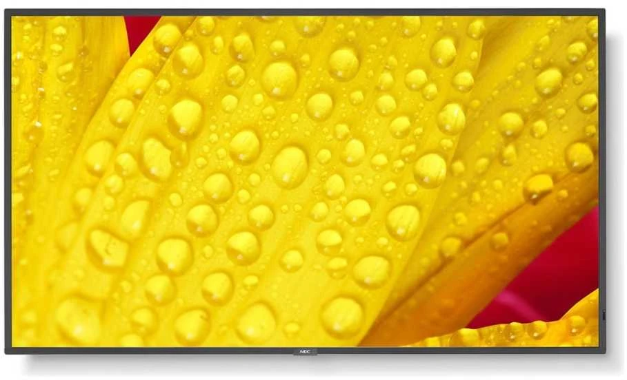 Monitorius NEC M651-2 65 colių UHD 500CD/QM - LED 24/7 SDM CM