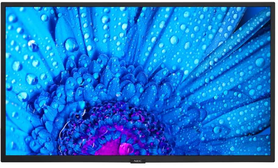 NEC MultiSync M321 32" Basic Business Monitorius