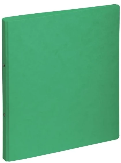 Segregator Pagna 2-ringowy A4 16mm žalia (44096-03)