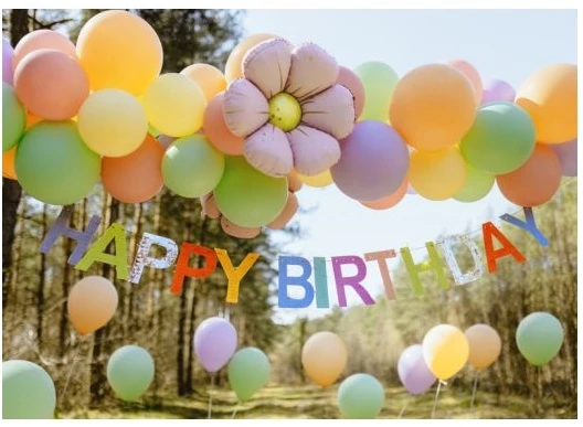 Party Deco Gimtadienio banner 2.2m