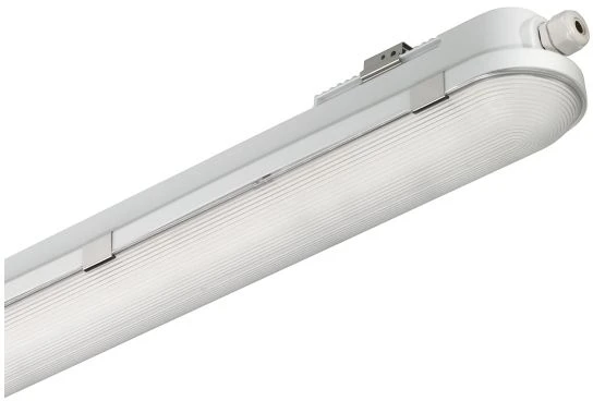 Philips sandarusis WT120C IP65 LED18S/840 (84045900)