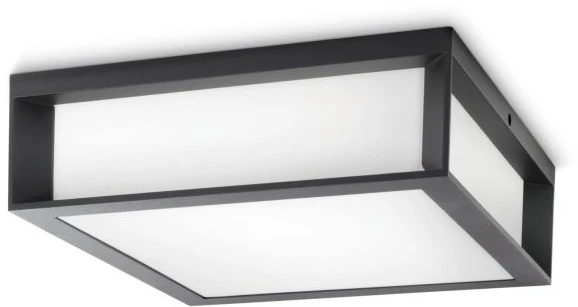 Philips „SKIES“ antracito spalvos lubinis ir sieninis šviestuvas 2x E27/ 42W IP44, aliuminio/plastiko