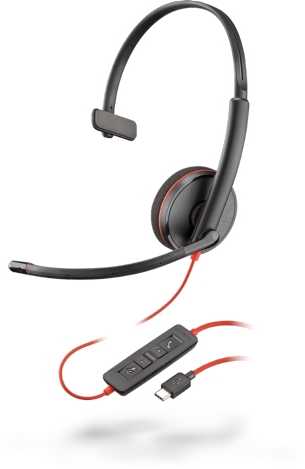 Ausinės Poly Blackwire C3210 (209748-22)
