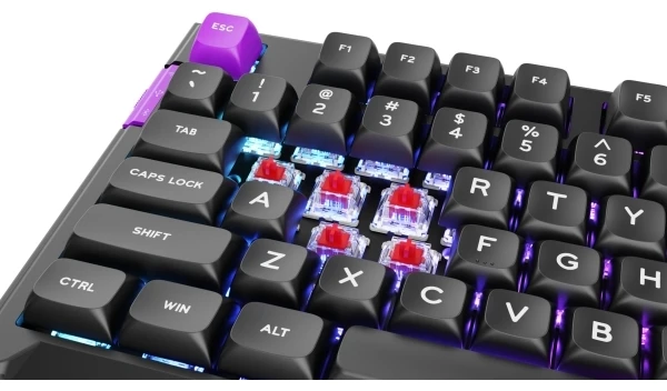 Klaviatūra PREYON Silent claw TKL raudona Gateron Raudona Pro (PSCTR85B)