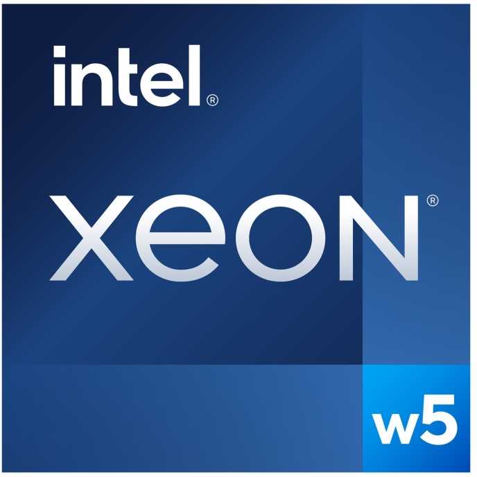 INTEL Xeon w5-2555X 3.3 GHz FCLGA16A 33.75M talpyklos dėžutės procesorius