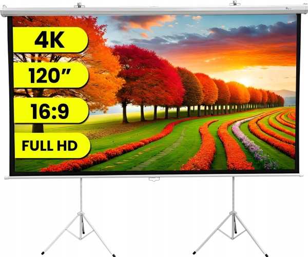 Projektorius Extralink Projektoriaus ekranas 120"