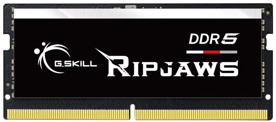 RAM G.Skill Ripjaws F5-4800S4039A16GX1-RS atminties modulis 16 GB 1 x 16 GB DDR5 4800 MHz