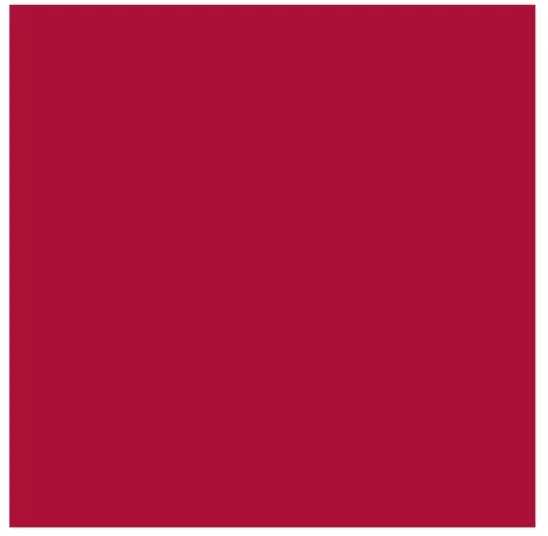 Artequipment TALENS REMBRANDT 40ML 318 - CARMINE - farba olejna uniw